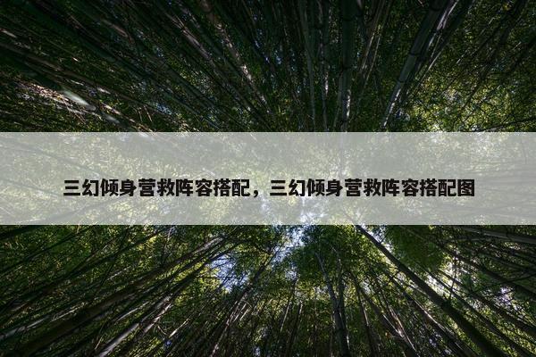 三幻倾身营救阵容搭配，三幻倾身营救阵容搭配图