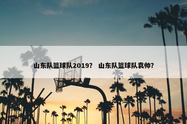 山东队篮球队2019？ 山东队篮球队袁帅？