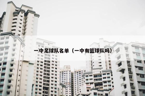 一中足球队名单（一中有篮球队吗）