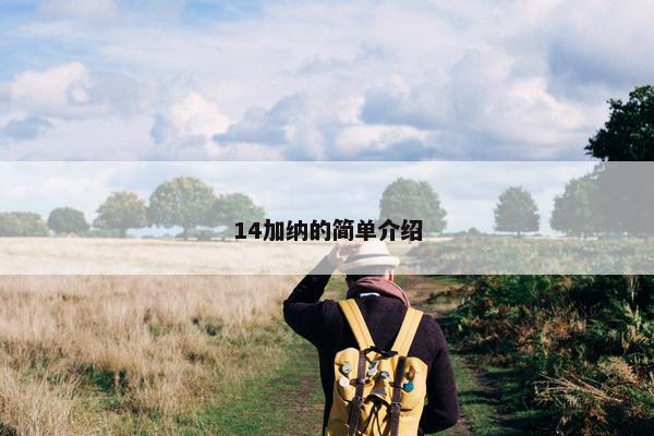 14加纳的简单介绍 14加纳的简单介绍