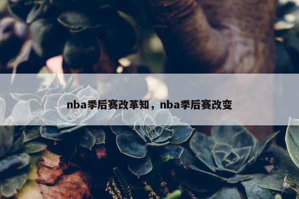 nba季后赛改革知，nba季后赛改变