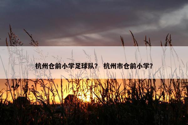 杭州仓前小学足球队？ 杭州市仓前小学？
