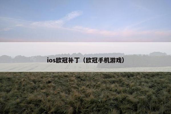 ios欧冠补丁（欧冠手机游戏）