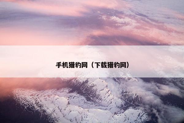 手机猎豹网（下载猎豹网）