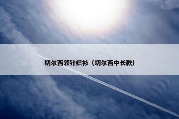 切尔西领针织衫(切尔西中长款) 切尔西领针织衫(切尔西中长款)
