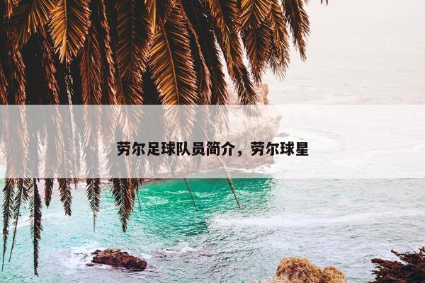 劳尔足球队员简介，劳尔球星