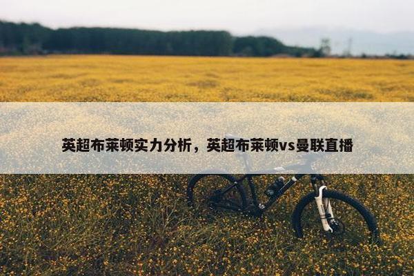 英超布莱顿实力分析，英超布莱顿vs曼联直播