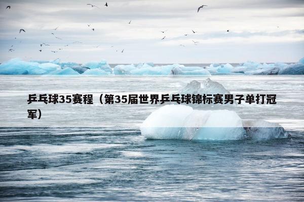 乒乓球35赛程（第35届世界乒乓球锦标赛男子单打冠军）