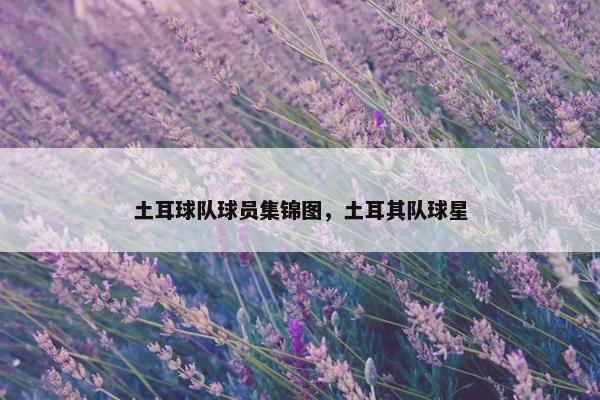 土耳球队球员集锦图,土耳其队球星 土耳球队球员集锦图,土耳其队球星