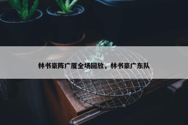 林书豪阵广厦全场回放，林书豪广东队
