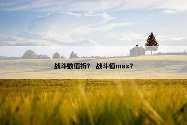 战斗数值析? 战斗值max? 战斗数值析? 战斗值max?