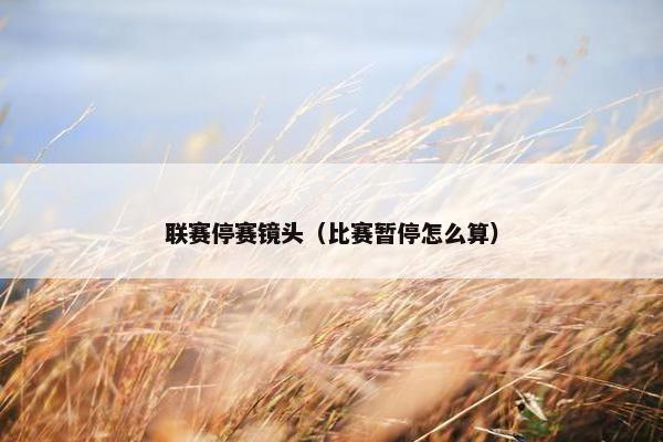 联赛停赛镜头(比赛暂停怎么算) 联赛停赛镜头(比赛暂停怎么算)
