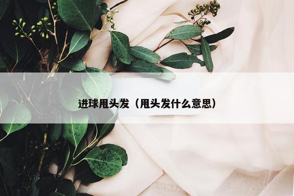 进球甩头发（甩头发什么意思）