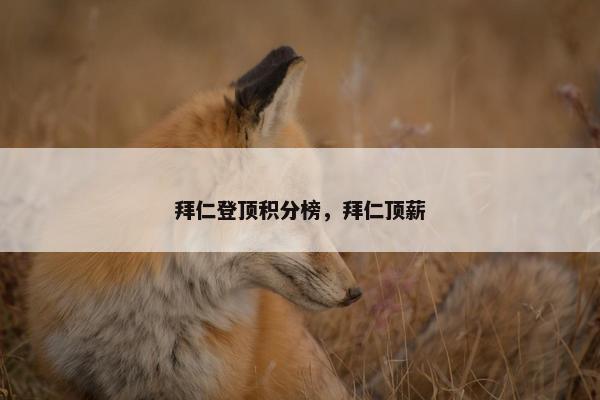 拜仁登顶积分榜,拜仁顶薪 拜仁登顶积分榜,拜仁顶薪