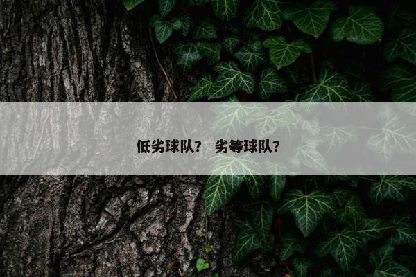 低劣球队？ 劣等球队？