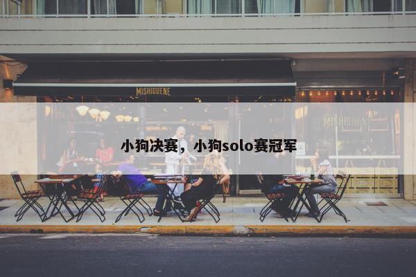 小狗决赛,小狗solo赛冠军 小狗决赛,小狗solo赛冠军