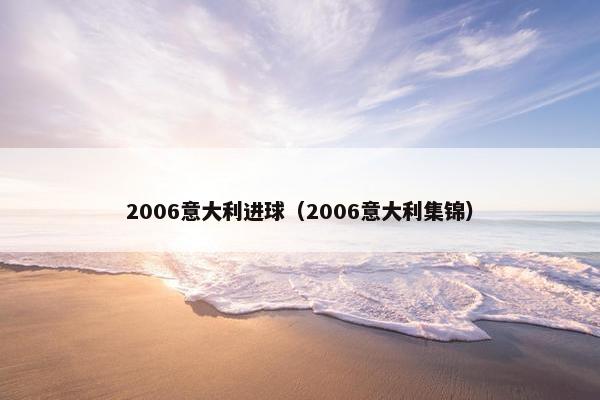 2006意大利进球（2006意大利集锦）