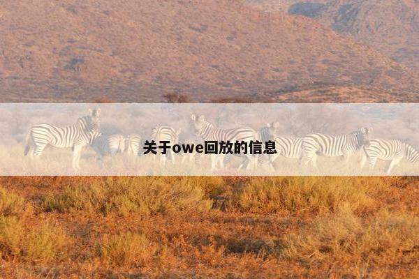 关于owe回放的信息 关于owe回放的信息