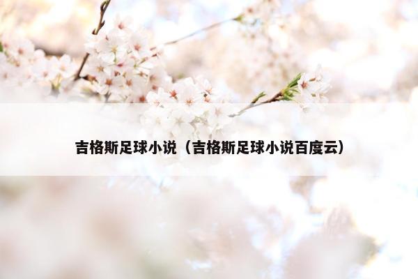 吉格斯足球小说(吉格斯足球小说百度云) 吉格斯足球小说(吉格斯足球小说百度云)