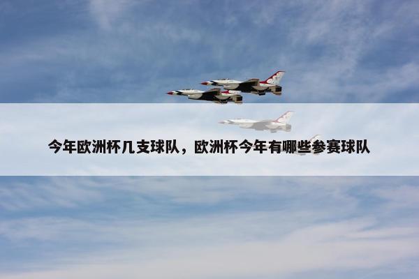 今年欧洲杯几支球队，欧洲杯今年有哪些参赛球队