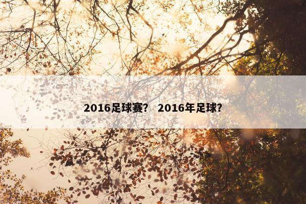 2016足球赛？ 2016年足球？