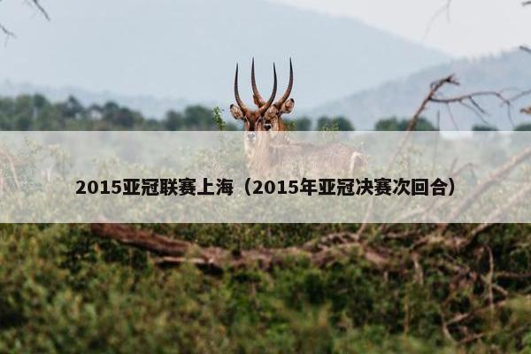 2015亚冠联赛上海(2015年亚冠决赛次回合) 2015亚冠联赛上海(2015年亚冠决赛次回合)