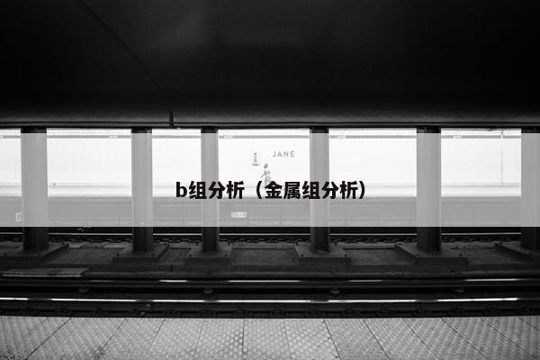 b组分析（金属组分析）