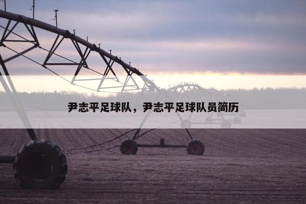 尹志平足球队，尹志平足球队员简历