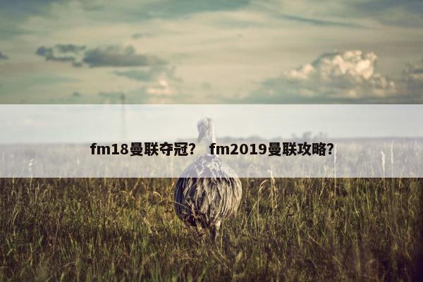 fm18曼联夺冠？ fm2019曼联攻略？