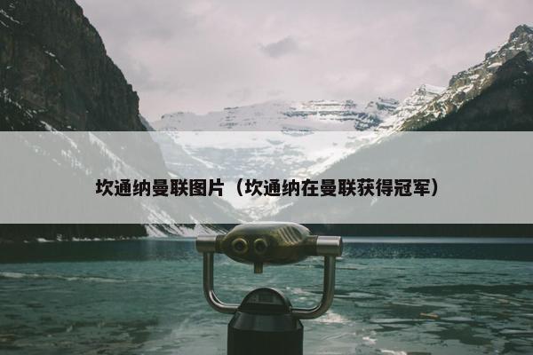 坎通纳曼联图片（坎通纳在曼联获得冠军）