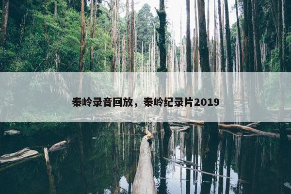 秦岭录音回放，秦岭纪录片2019