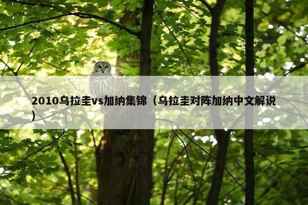 2010乌拉圭vs加纳集锦（乌拉圭对阵加纳中文解说）