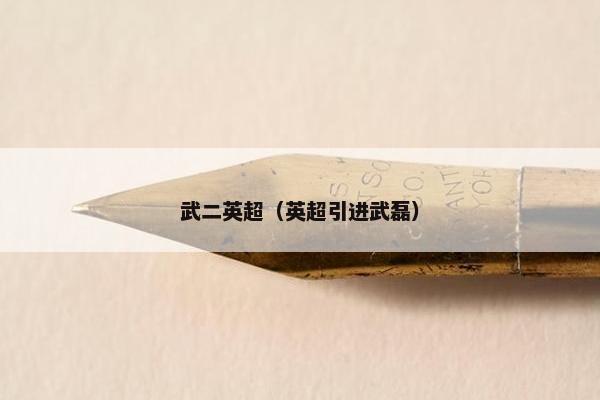 武二英超(英超引进武磊) 武二英超(英超引进武磊)