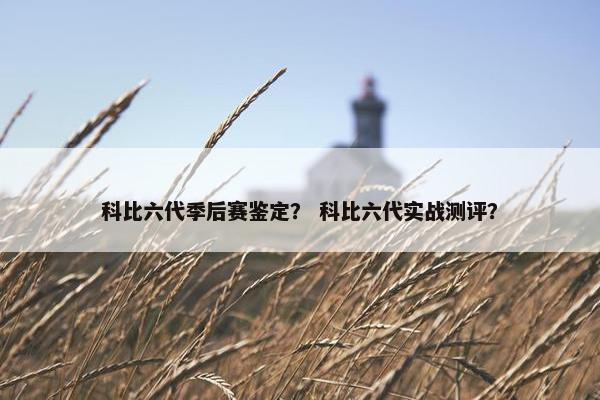 科比六代季后赛鉴定？ 科比六代实战测评？