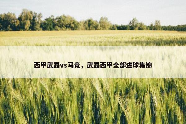 西甲武磊vs马竞，武磊西甲全部进球集锦