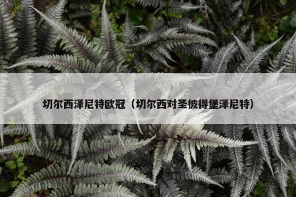 切尔西泽尼特欧冠(切尔西对圣彼得堡泽尼特) 切尔西泽尼特欧冠(切尔西对圣彼得堡泽尼特)