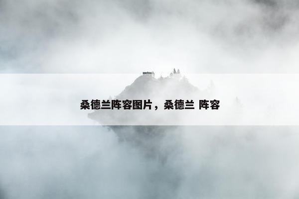 桑德兰阵容图片，桑德兰 阵容