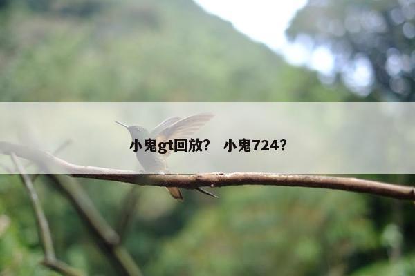 小鬼gt回放？ 小鬼724？