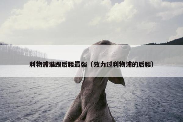 利物浦谁踢后腰最强（效力过利物浦的后腰）