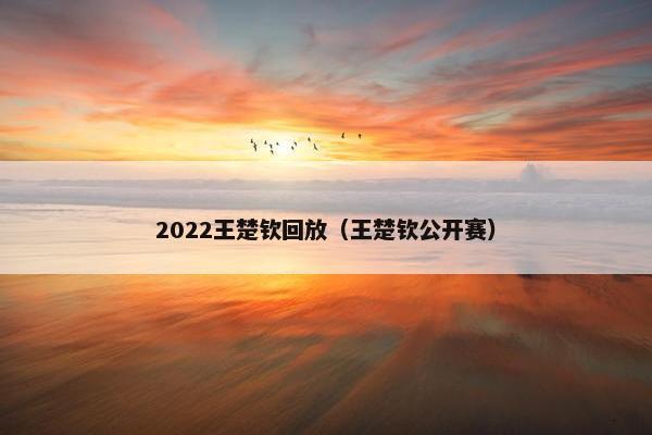 2022王楚钦回放(王楚钦公开赛) 2022王楚钦回放(王楚钦公开赛)