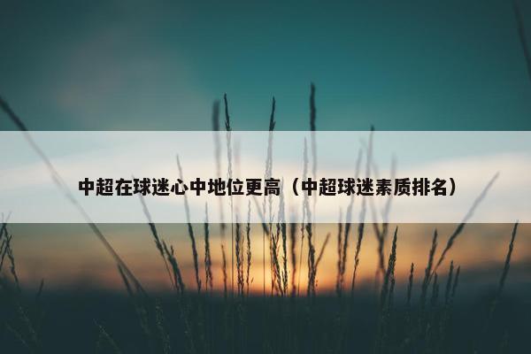 中超在球迷心中地位更高（中超球迷素质排名）