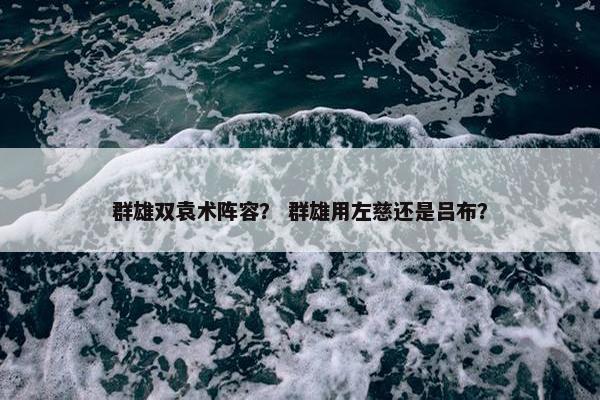 群雄双袁术阵容？ 群雄用左慈还是吕布？