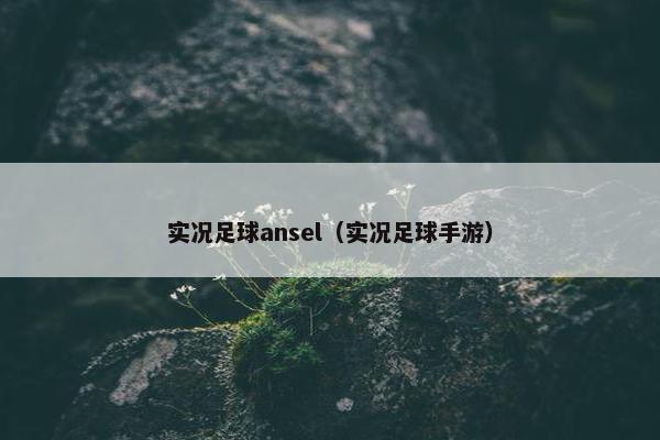 实况足球ansel(实况足球手游) 实况足球ansel(实况足球手游)