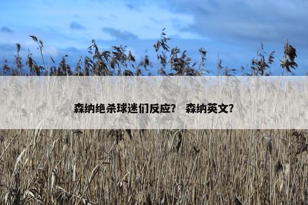 森纳绝杀球迷们反应？ 森纳英文？
