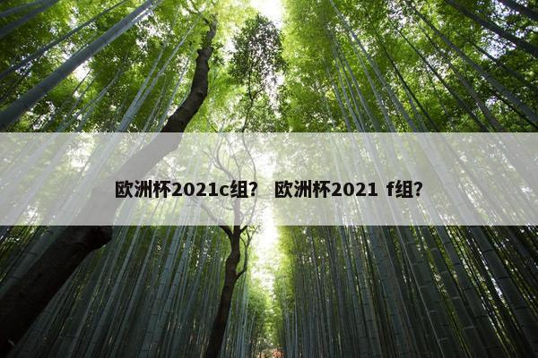 欧洲杯2021c组？ 欧洲杯2021 f组？