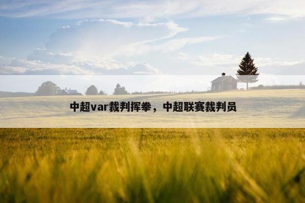 中超var裁判挥拳,中超联赛裁判员 中超var裁判挥拳,中超联赛裁判员