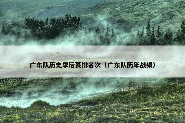 广东队历史季后赛排名次（广东队历年战绩）
