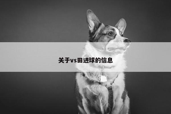 关于vs田进球的信息