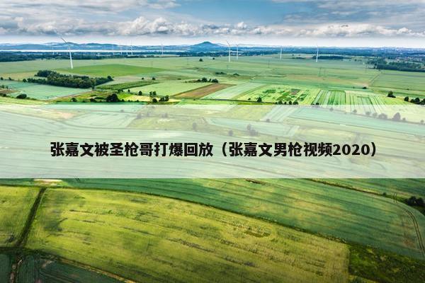 张嘉文被圣枪哥打爆回放（张嘉文男枪视频2020）