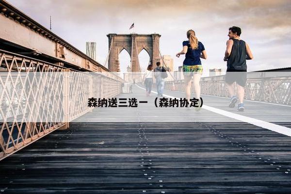 森纳送三选一(森纳协定) 森纳送三选一(森纳协定)